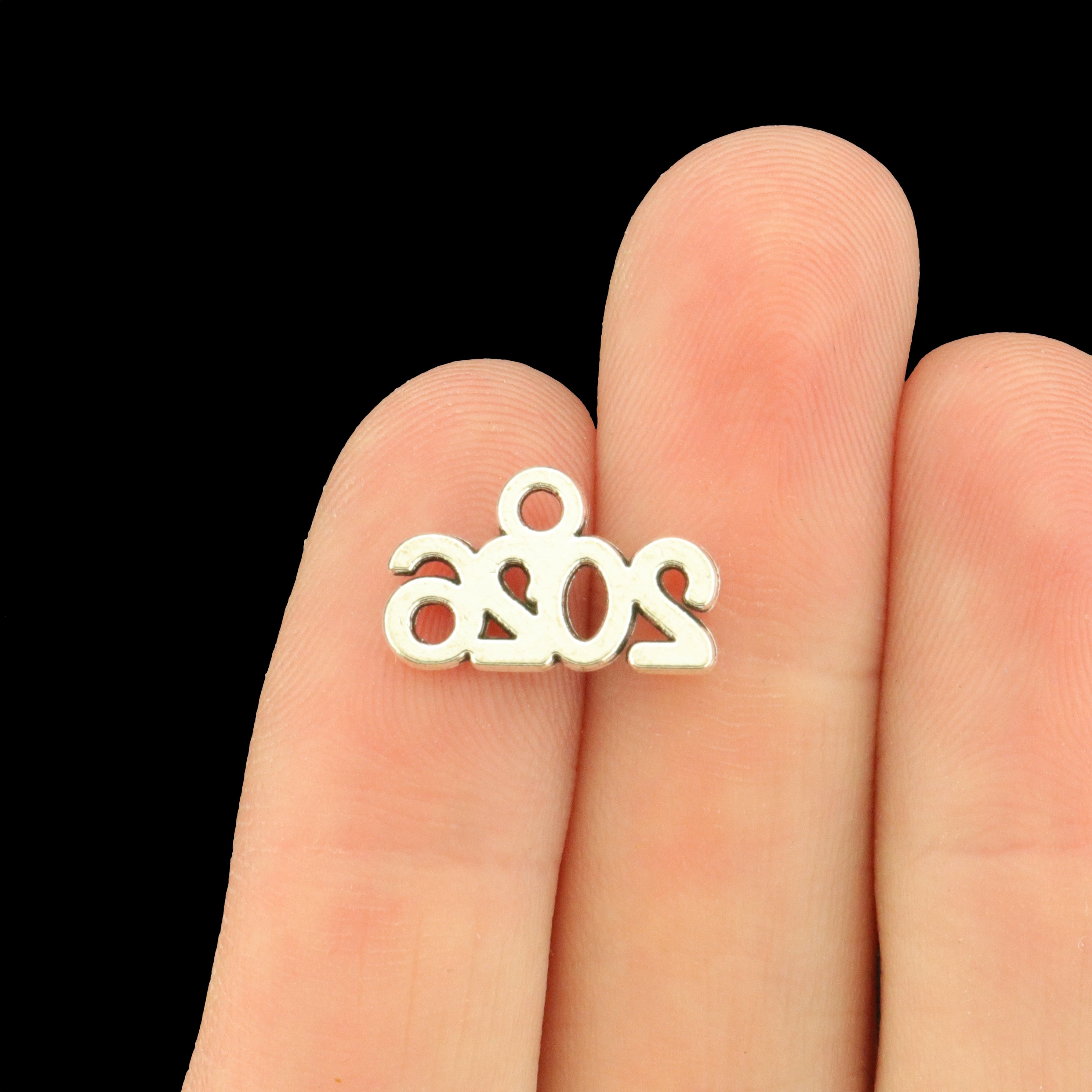 10 Year 2026 Antique Silver Tone Charms - SC041