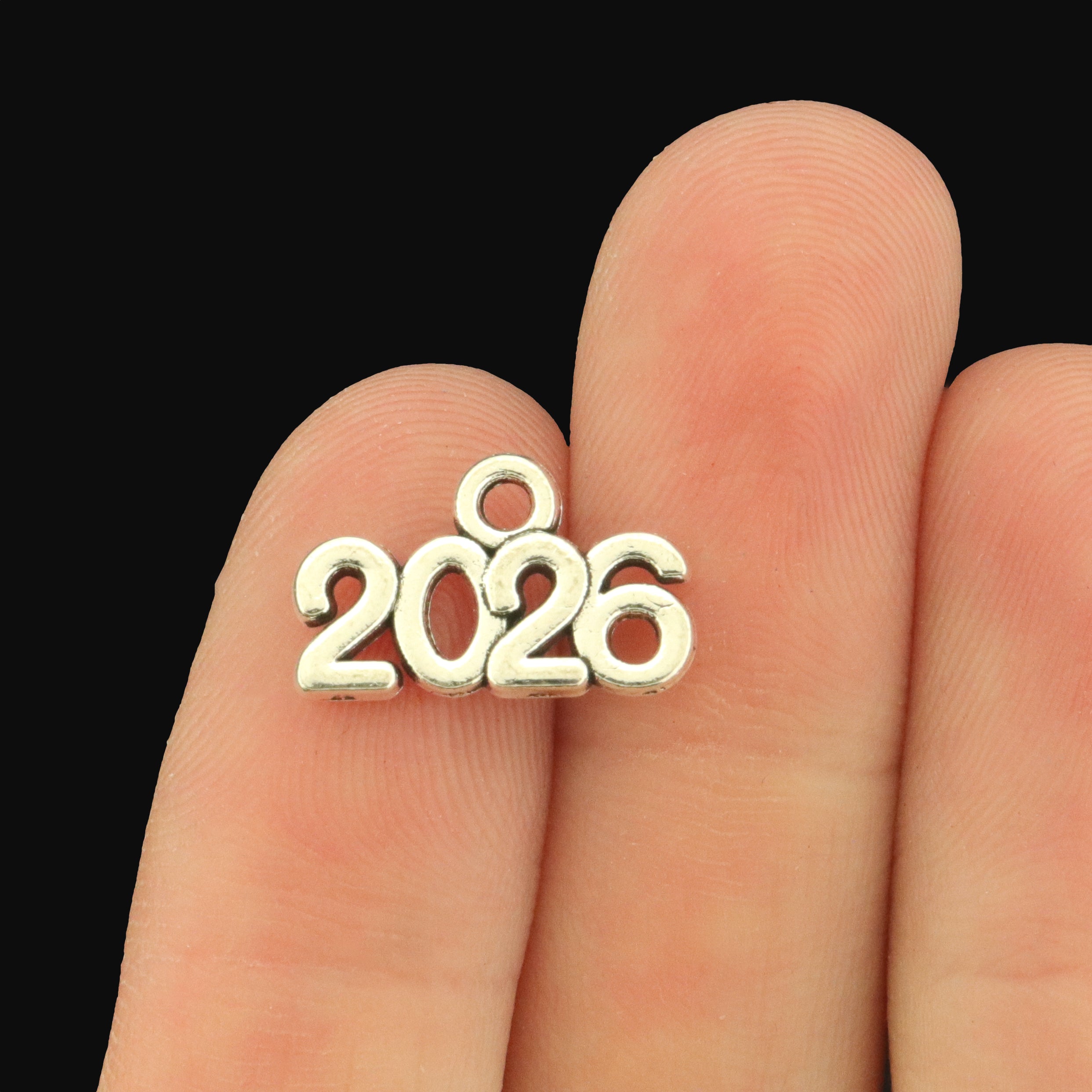 10 Year 2026 Antique Silver Tone Charms - SC041