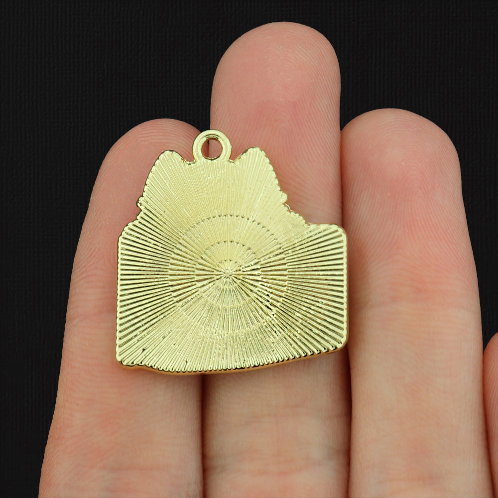 2 Always Be Pawsitive Cat Gold Tone Enamel Charms - E149