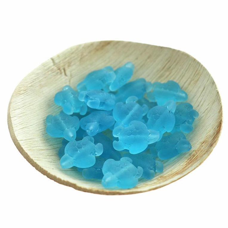 2 breloques en verre de mer de culture tortue bleue - U179