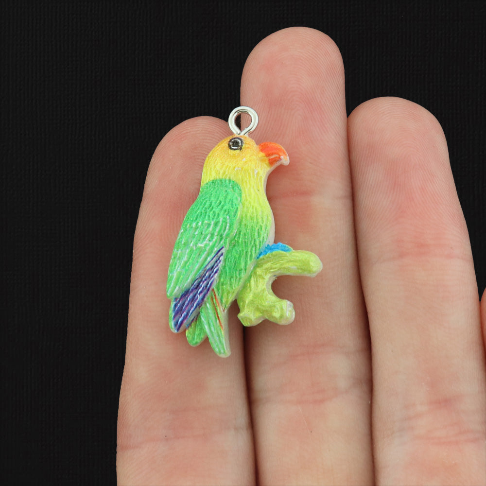 2 Parrot Bird Resin Charms - K324
