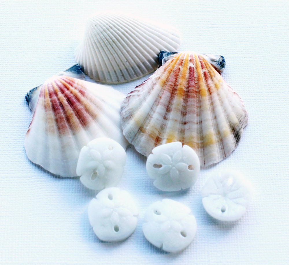 2 breloques en verre de mer de culture dollar des sables turquoise - U116