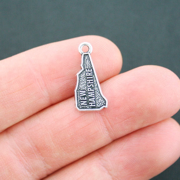 4 State Antique Silver Tone Charms - Choose Your State!