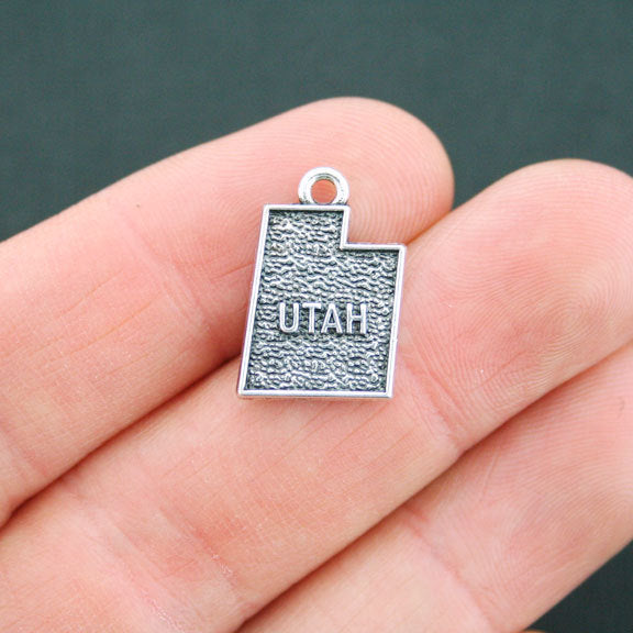 4 State Antique Silver Tone Charms - Choose Your State!