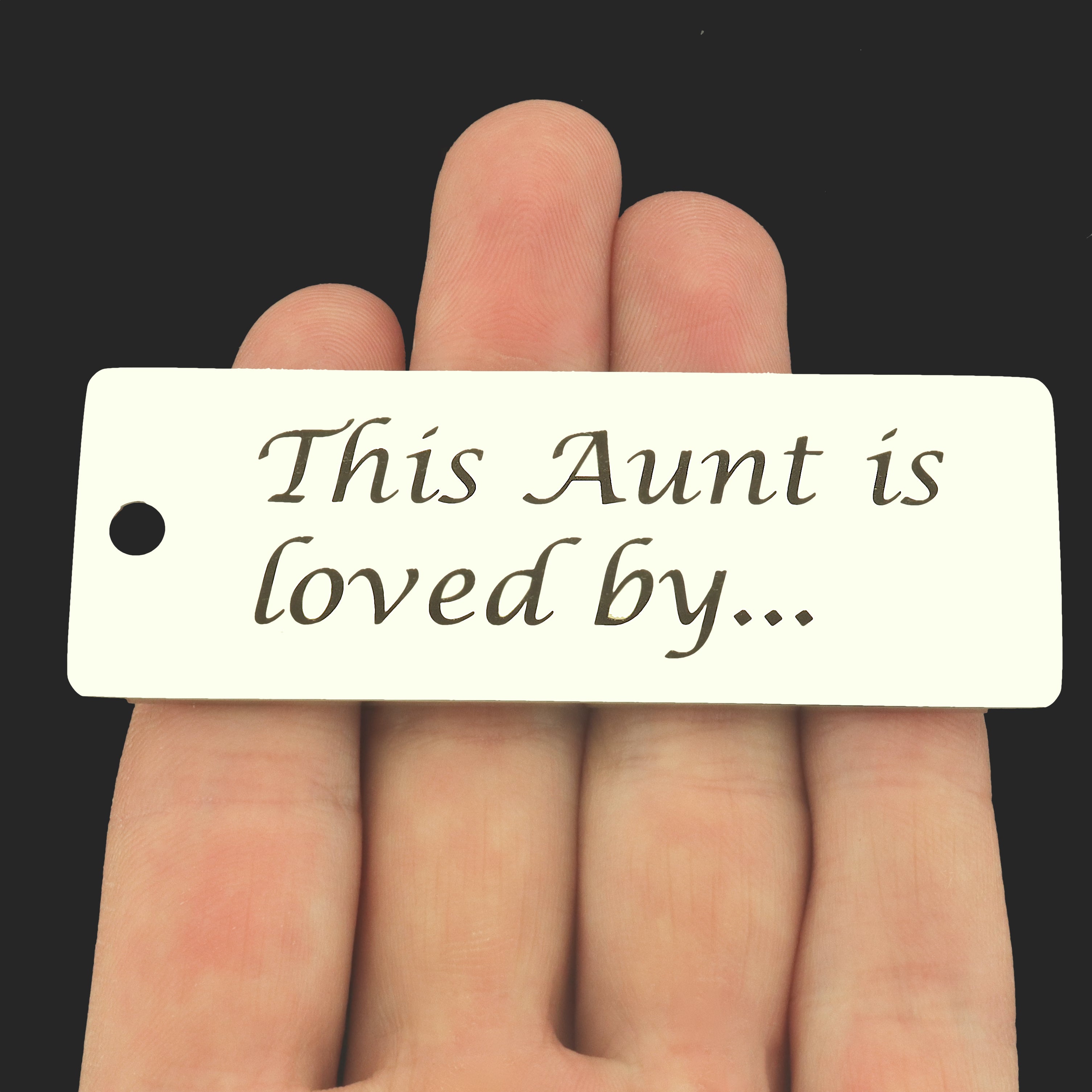 Aunt Stainless Steel Key Chain Tag Charm - This Aunt is Loved By - BFS033S-8251