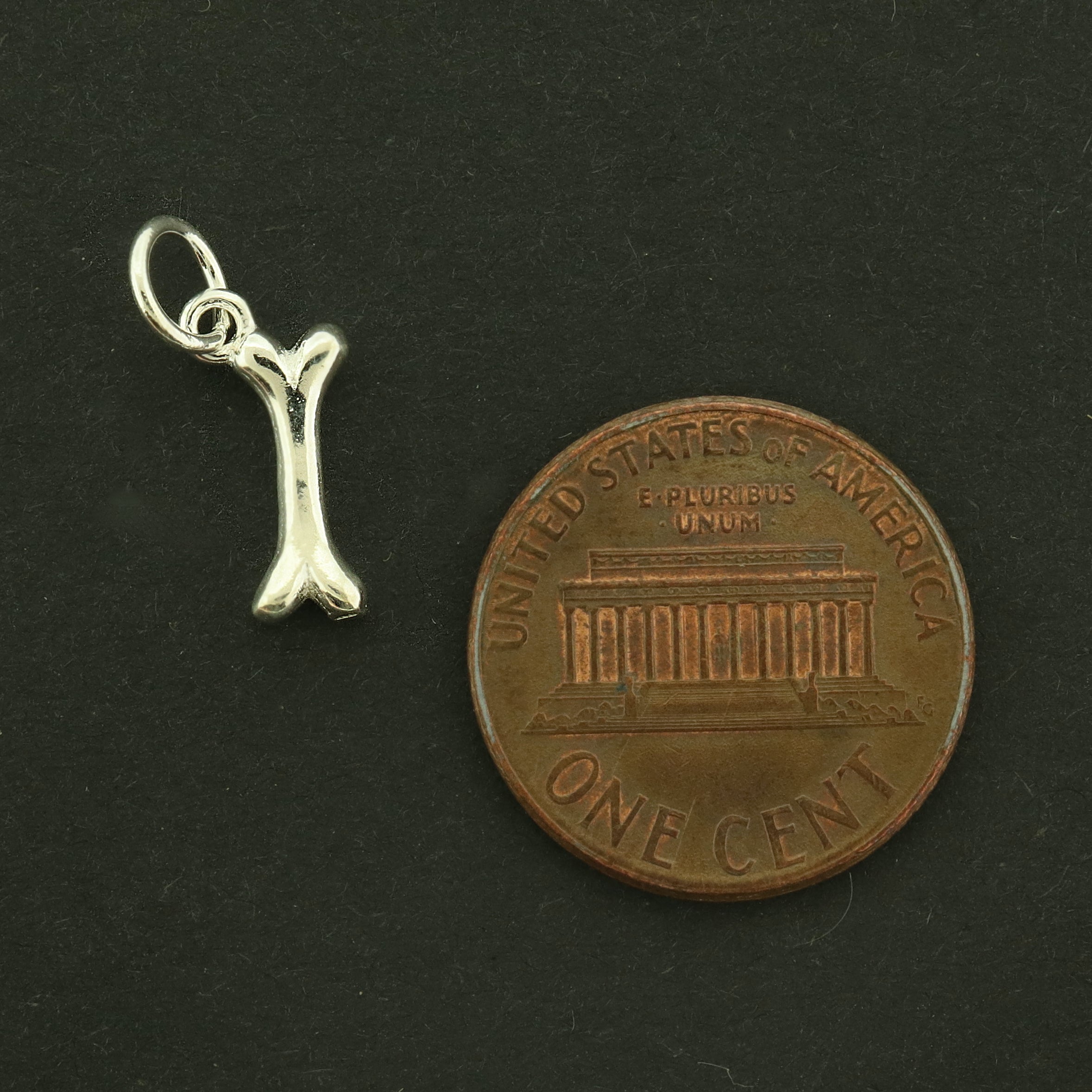 Dog Bone Sterling Silver Charm 3D - ST273