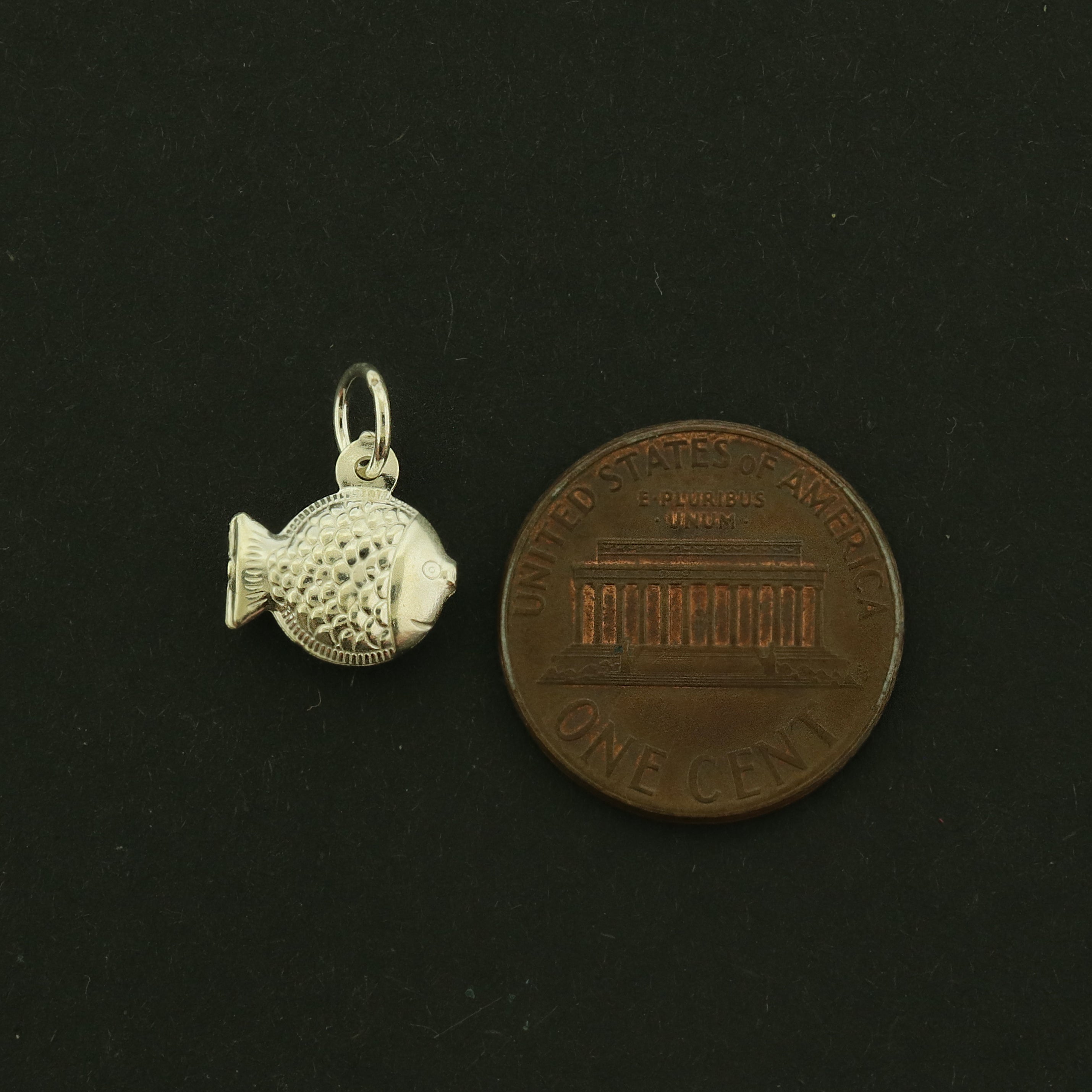 Fish Sterling Silver Charm - 3D Puffy Fish - ST125