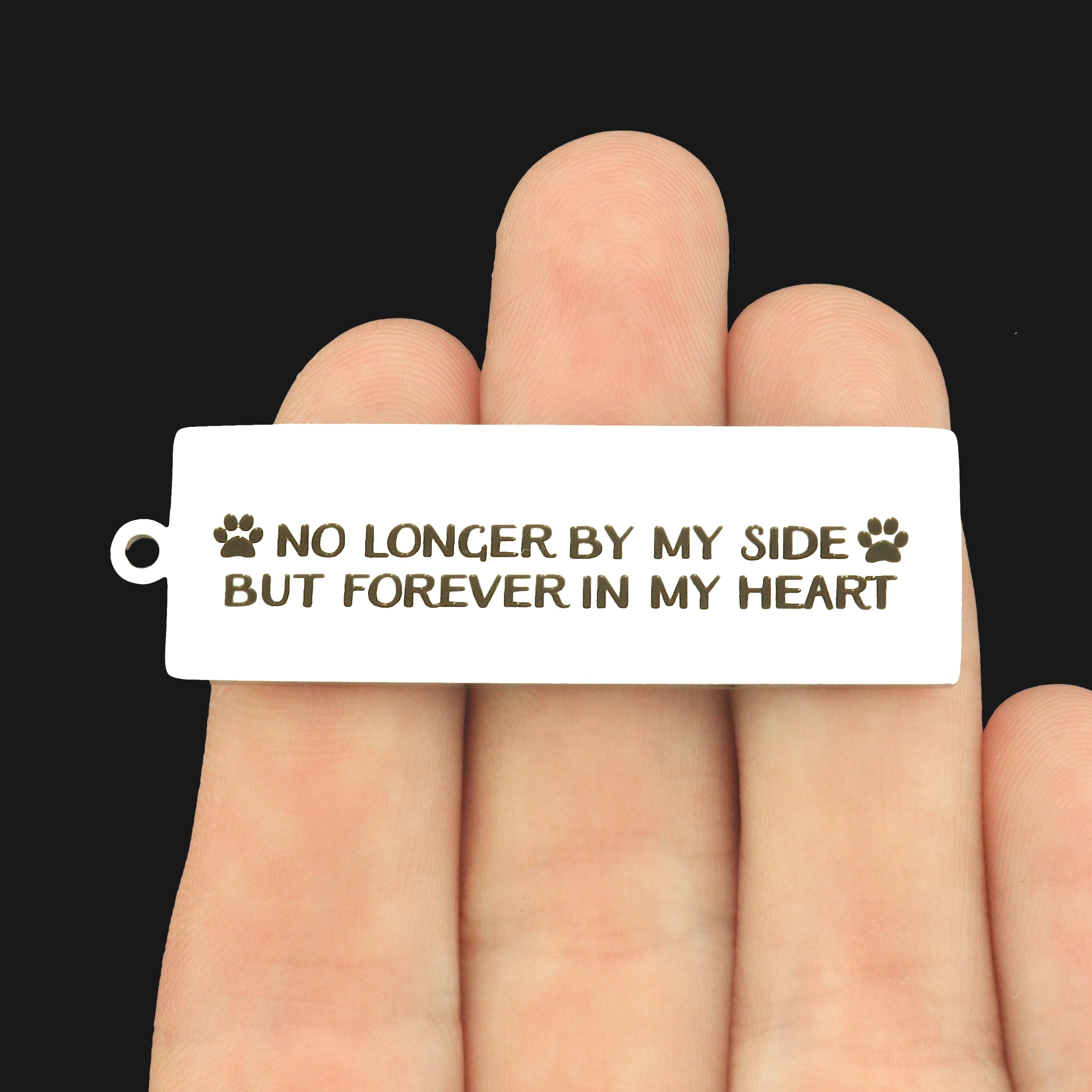 Pet Memorial Stainless Steel Key Chain Tag Charm - No Longer By My Side - BFS032S-8267