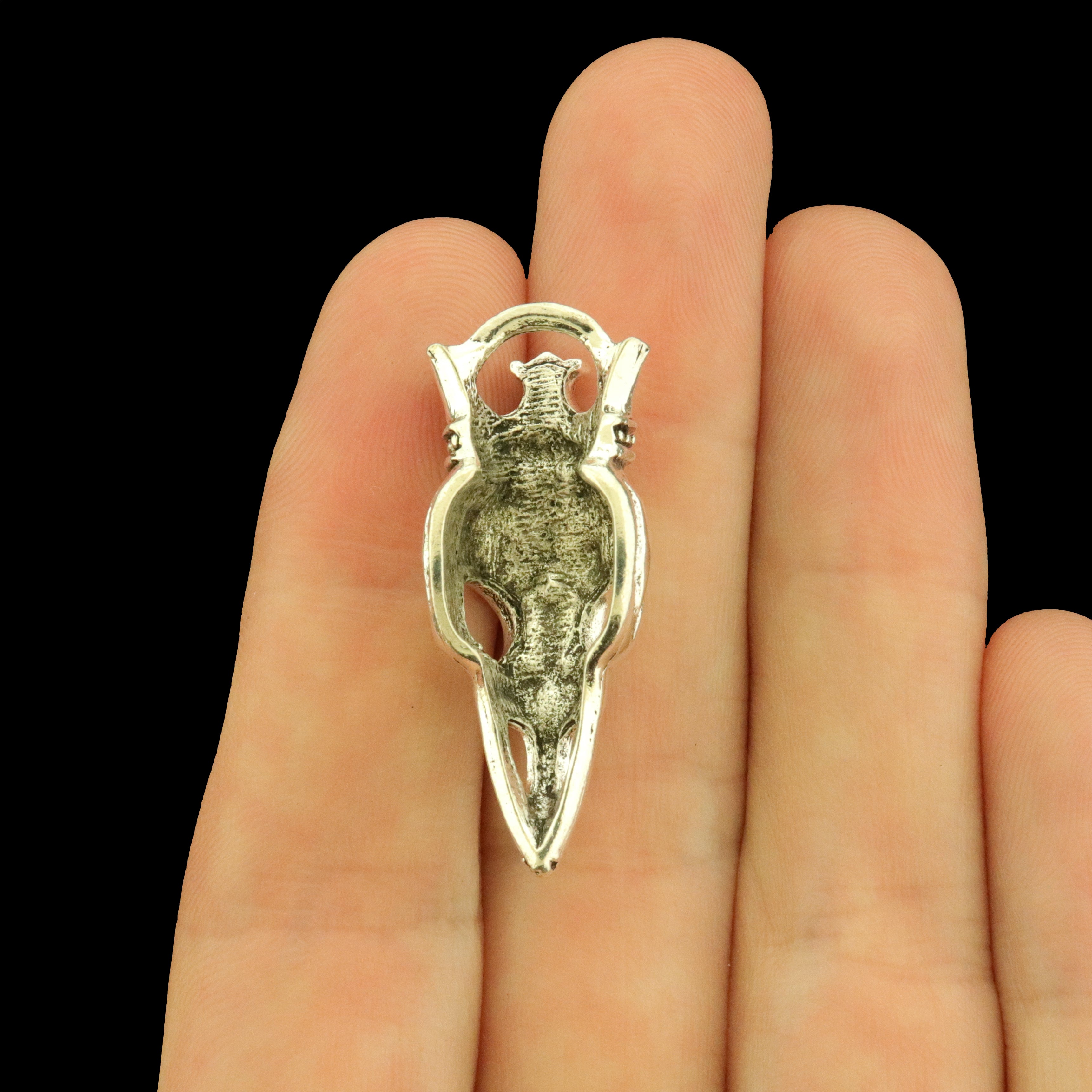 6 Bird Skull with Crown 3D Antique Silver Tone Charms - SC501