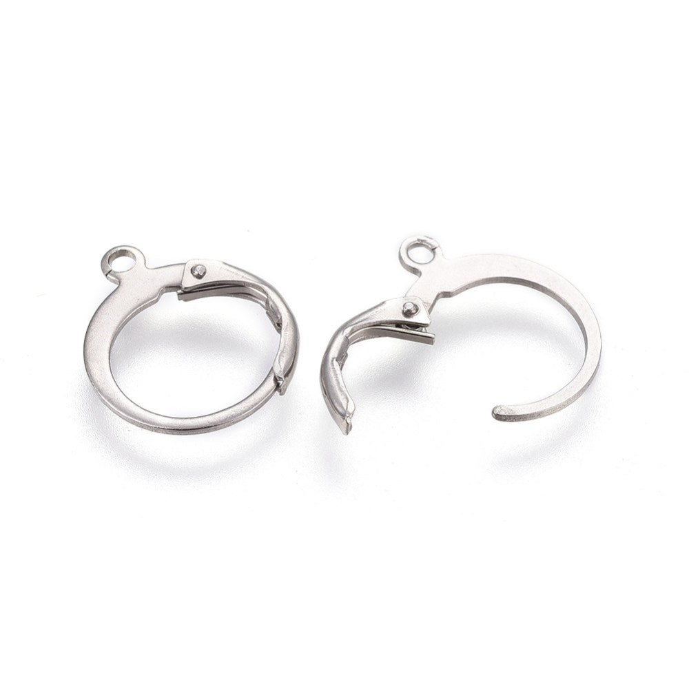 10 Stainless Steel Lever Back Earring Hoops - Choose Your Tone!