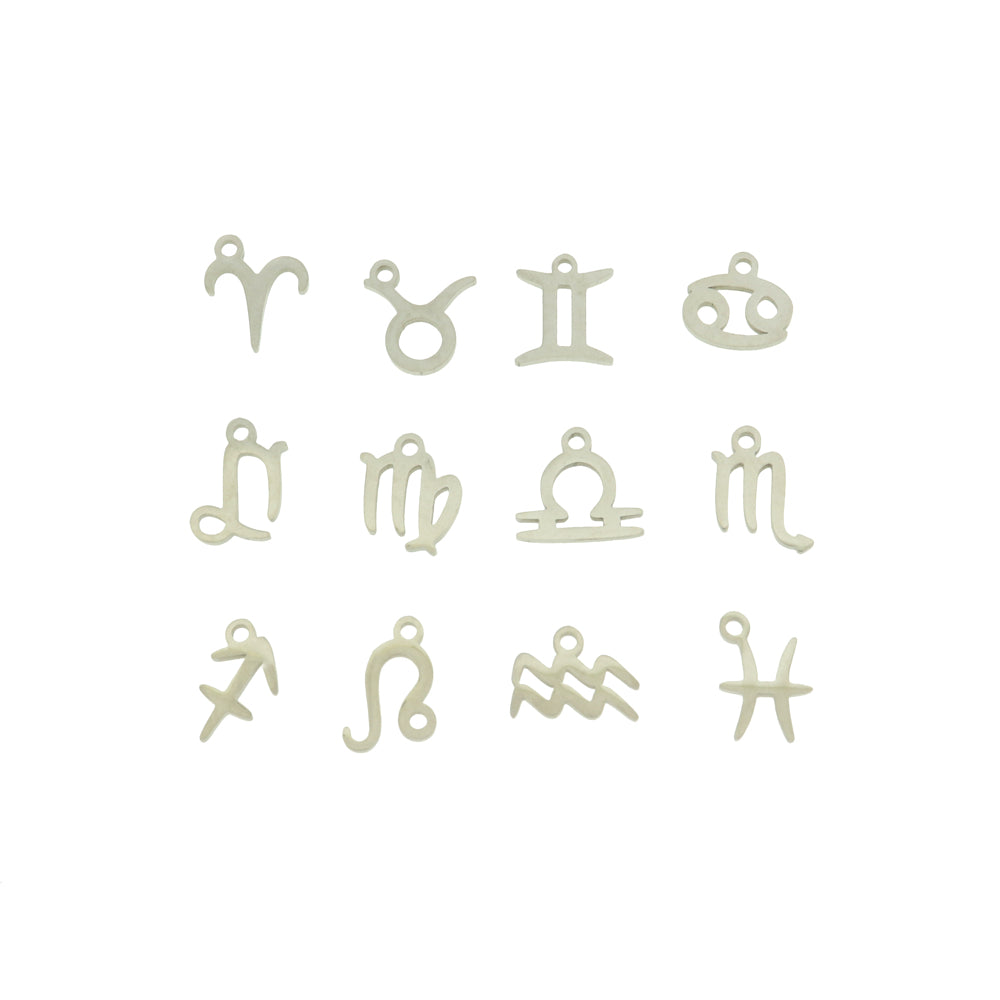 Zodiac Symbol Stainless Steel Charms - Choose Your Sign & Tone