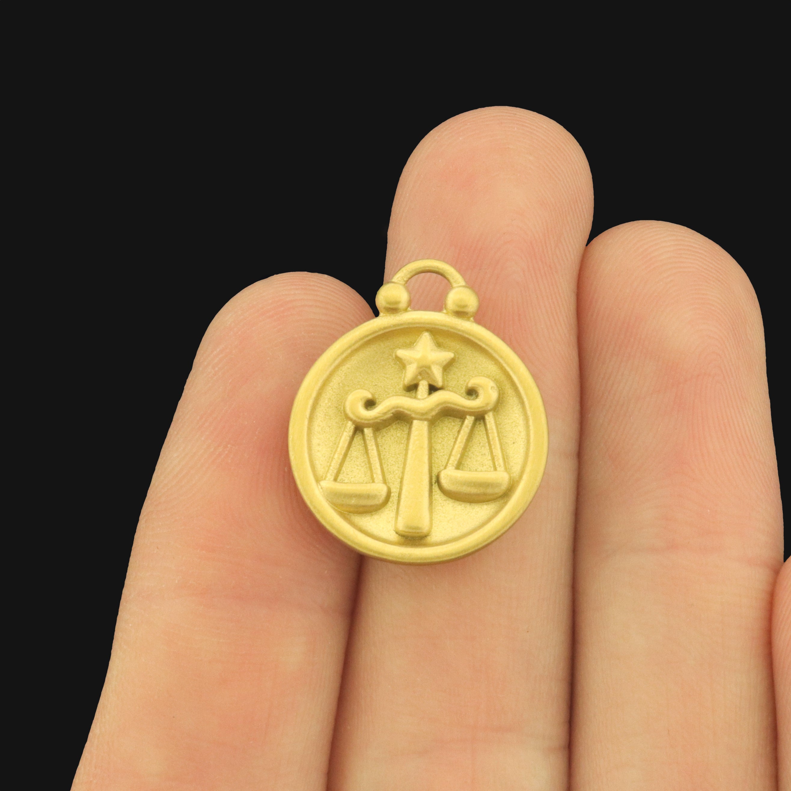 Zodiac Symbol Stainless Steel Charms - Choose Your Tone & Sign!