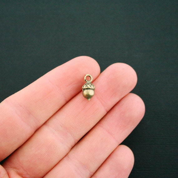 10 Acorn Antique Bronze Tone Charms 3D - BC1260