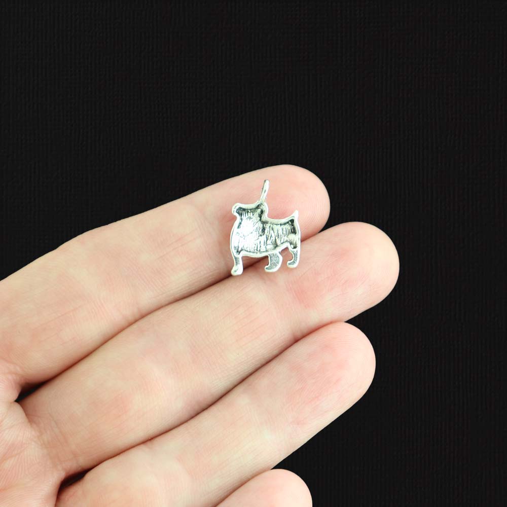 10 breloques de ton argent antique chien - SC147