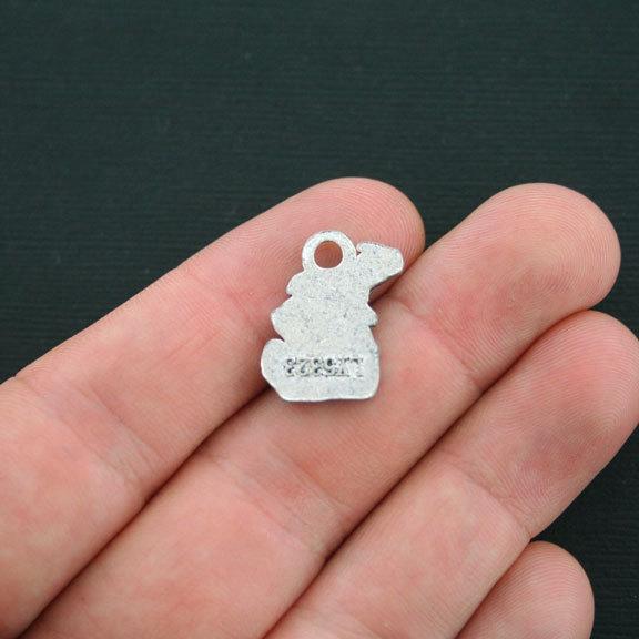 10 Michigan Antique Silver Tone Charms - SC4223
