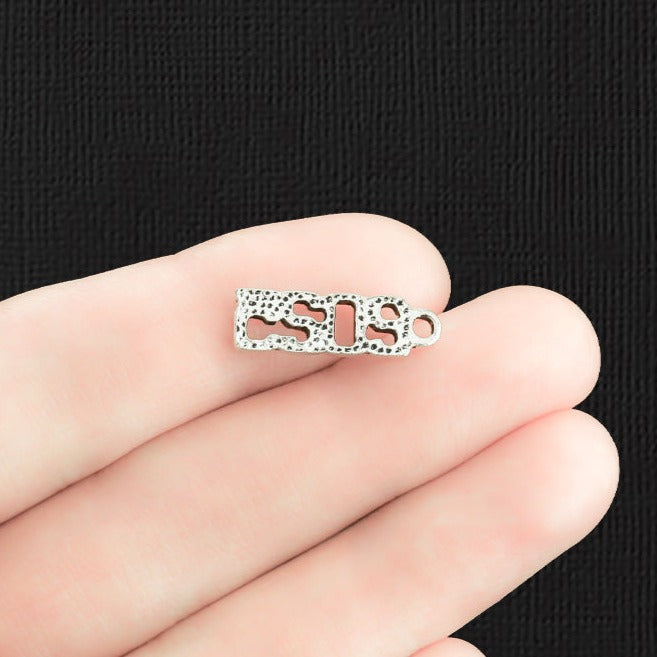 10 Year 2025 Antique Silver Tone Charms - SC2238