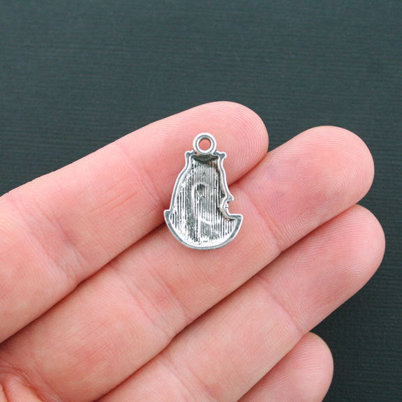 12 Egyptian Pharaoh Antique Silver Tone Charms - SC2579