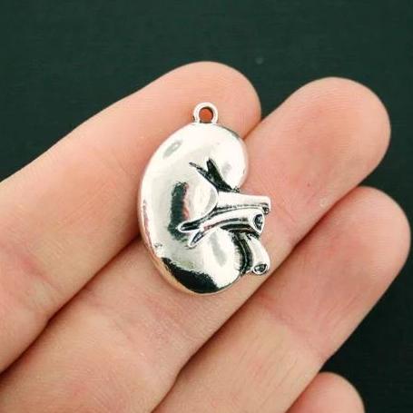 2 Kidney Antique Silver Tone Charms - SC6826