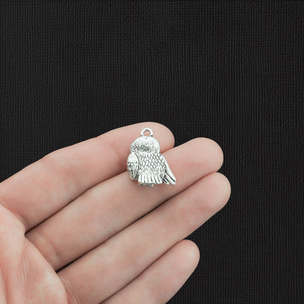 2 Owl Antique Silver Tone Charms - SC3759
