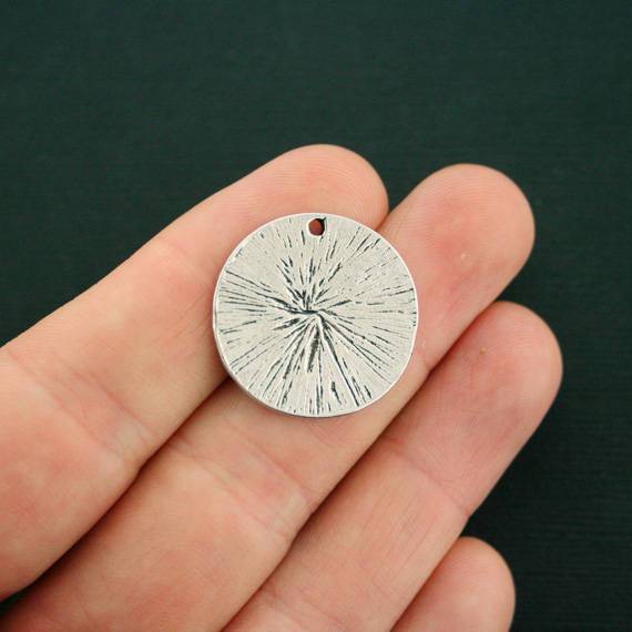 2 breloques argentées antiques commémoratives pour animaux de compagnie - SC7117