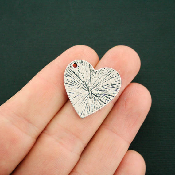 2 breloques argentées antiques commémoratives pour animaux de compagnie - SC7119