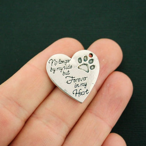 2 breloques argentées antiques commémoratives pour animaux de compagnie - SC7119