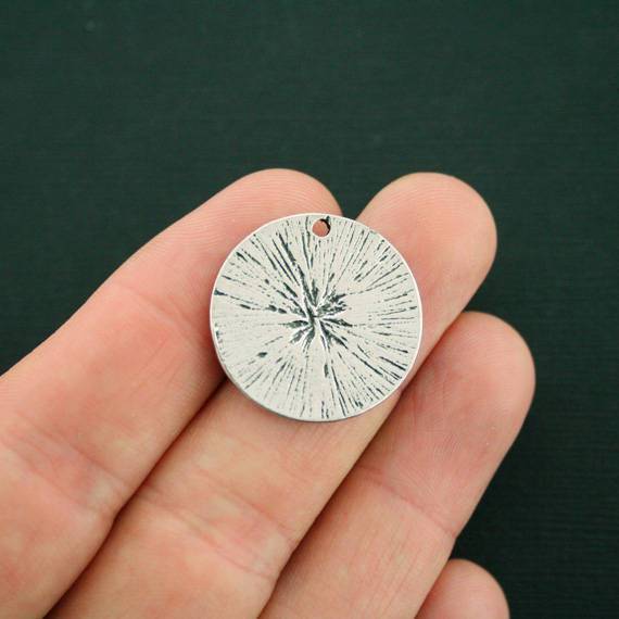 2 Pet Memorial Antique Silver Tone Charms - SC7133