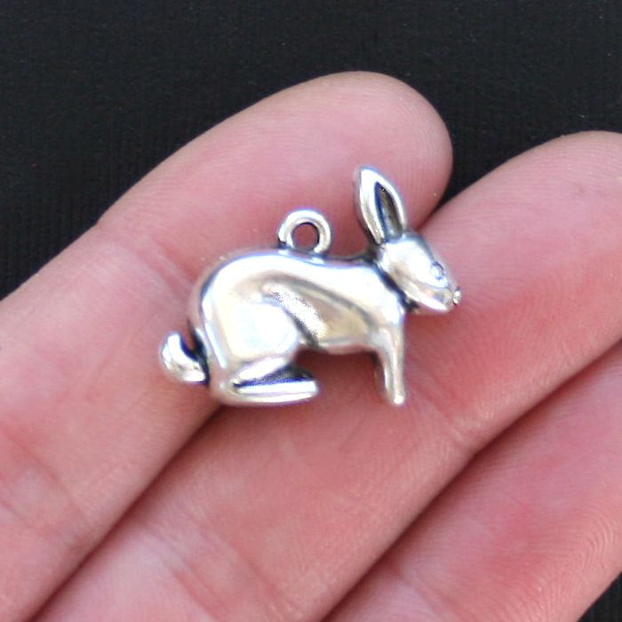 2 Rabbit Antique Silver Tone Charms 3D - SC2858