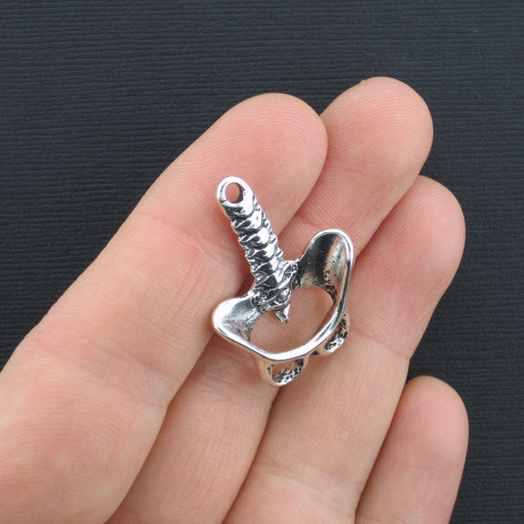 2 Skeleton Pelvis Antique Silver Tone Charms 3D - SC3393