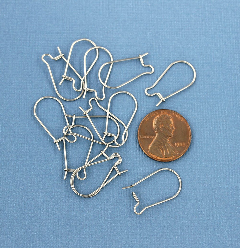 Stainless Steel Earrings - Kidney Style Hooks - 20mm x 10.5mm - 20 Pieces 10 Pairs - Z693