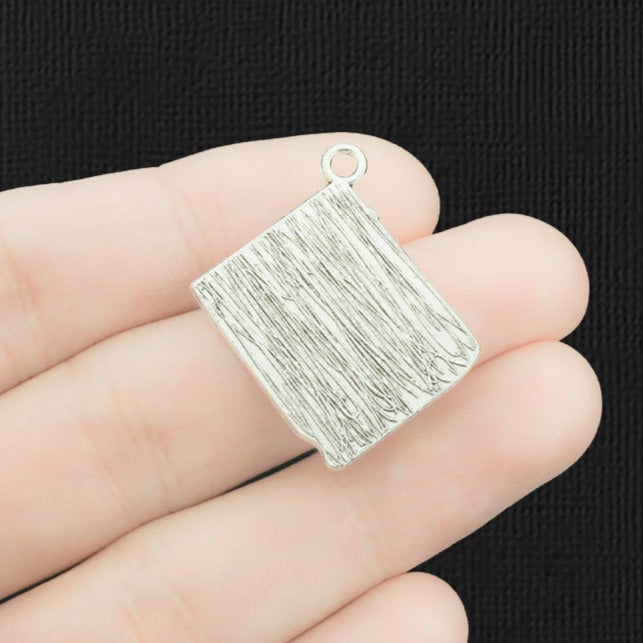 4 Book Antique Silver Tone Charms - SC038