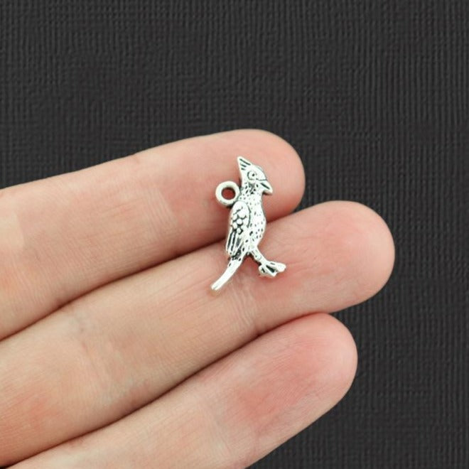 4 Cardinal Antique Silver Tone Charms - SC2173