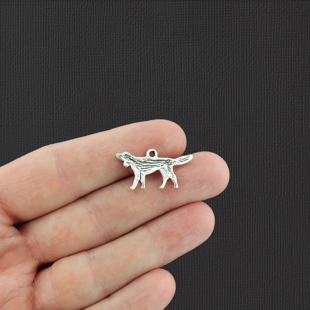 4 Irish Setter Pointer Dog Antique Silver Tone Charms - SC1554