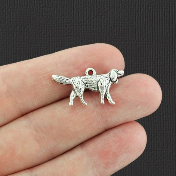 4 Irish Setter Pointer Dog Antique Silver Tone Charms - SC1554