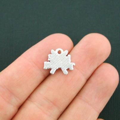 4 Love to Ski Antique Silver Tone Charms - SC5500