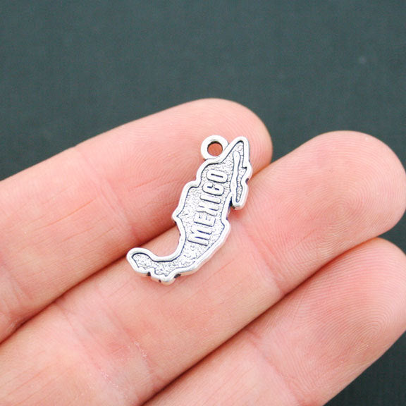 4 Mexico Map Antique Silver Tone Charms 2 Sided - SC5213