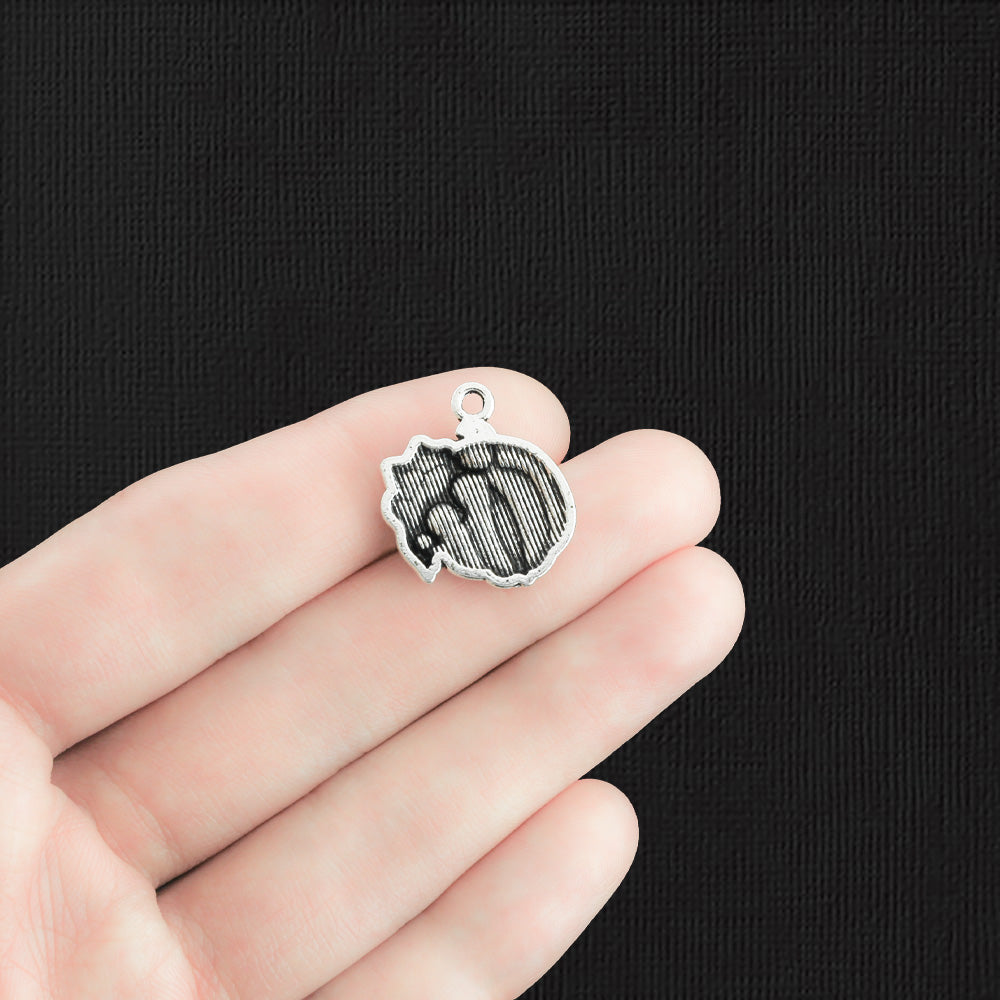 4 Pumpkin Antique Silver Tone Charms - SC1376