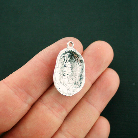 4 Seashell Antique Silver Tone Charms - SC6806