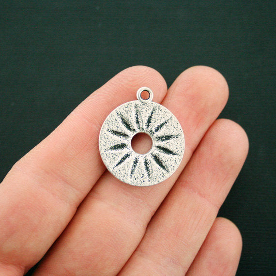 4 Zodiac Antique Silver Tone Charms - SC6602