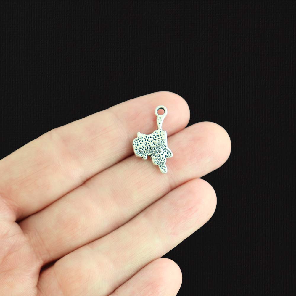 5 Saddle Antique Silver Tone Charms 2 Sided - SC495