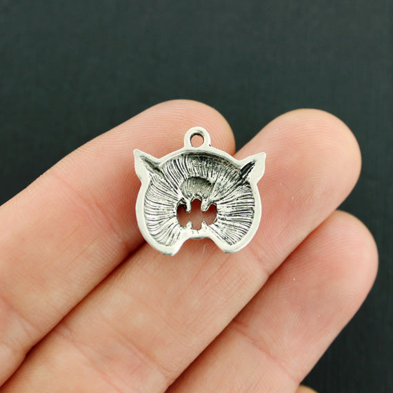 5 Wildcat Antique Silver Tone Charms - SC7931