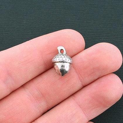 6 Acorn Antique Silver Tone Charms 3D - SC4054