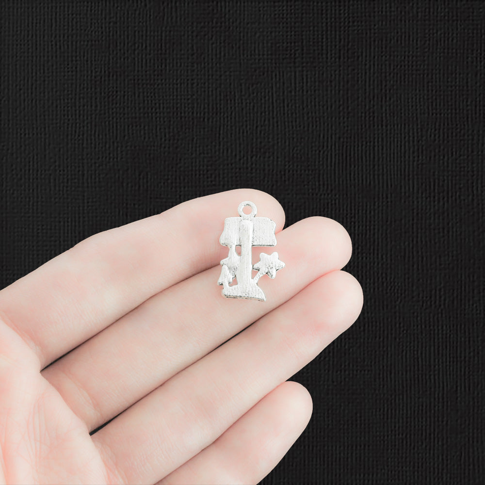 6 Garden Antique Silver Tone Charms - SC1706