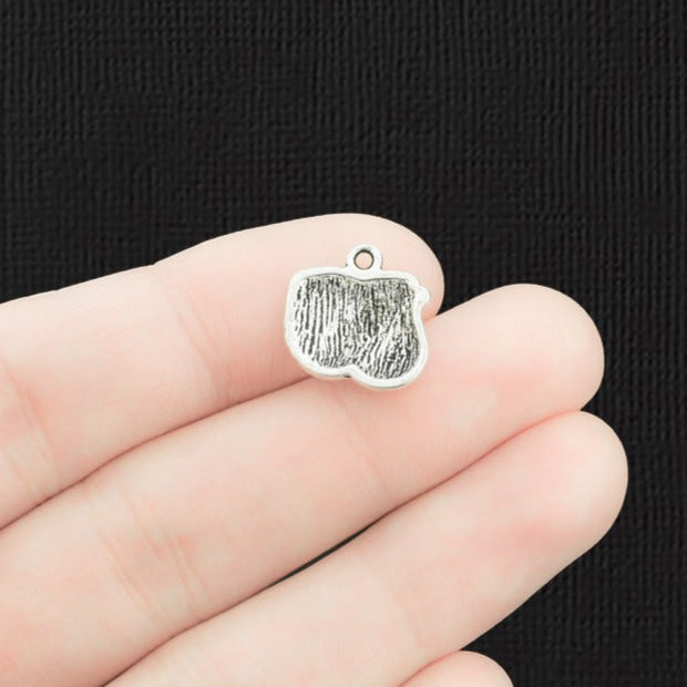 6 Turkey Antique Silver Tone Charms - SC2773