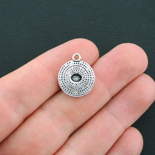 6 Turtle Antique Silver Tone Charms - SC448