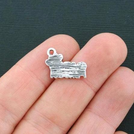 8 Cat Person Antique Silver Tone Charms - SC4353