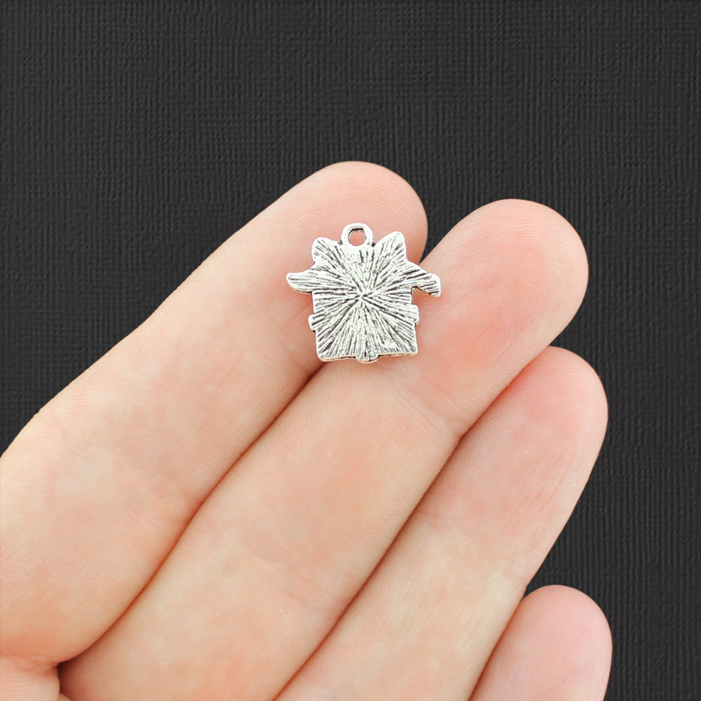 8 Gift Antique Silver Tone Charms - SC1529