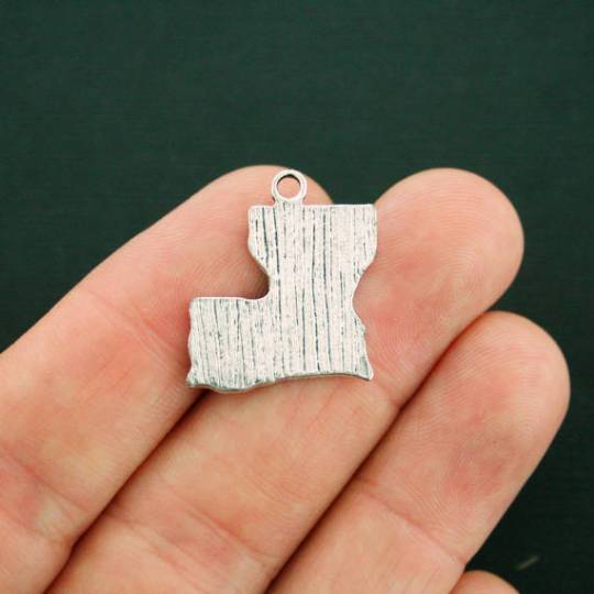 8 Louisiana State Antique Silver Tone Charms - SC1781