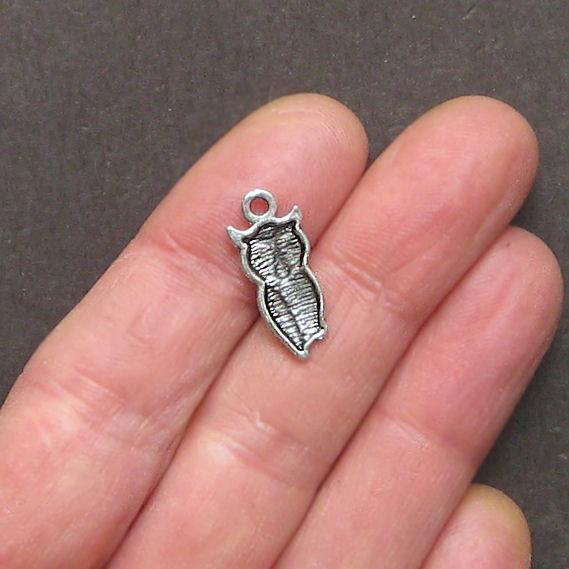 8 Owl Antique Silver Tone Charms - SC1442