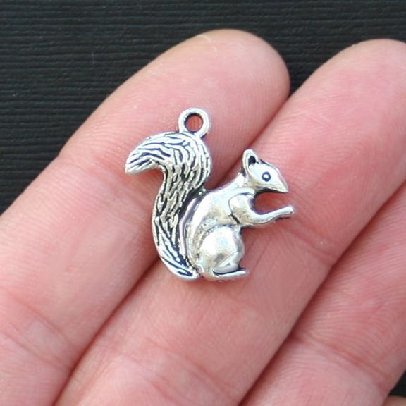 8 breloques argentées antiques écureuil 2 faces - SC2769